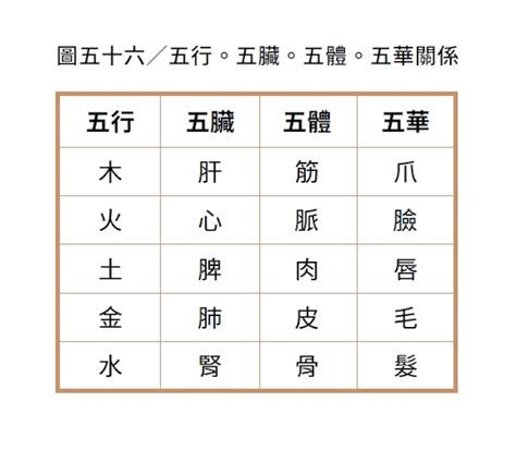 厄疾宮|《紫微攻略・紫微斗數新手村》：「疾厄宮」是古人用。